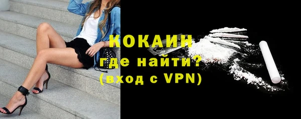 гашик Алексин