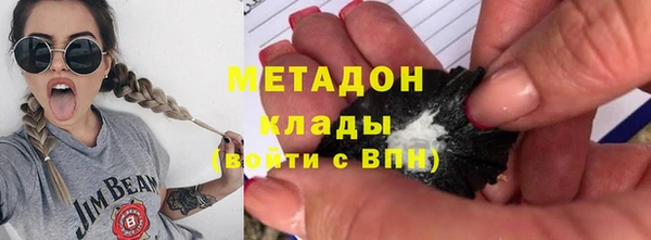 гашик Алексин