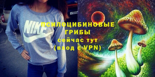 гашик Алзамай