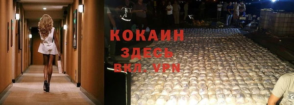 гашик Алексин